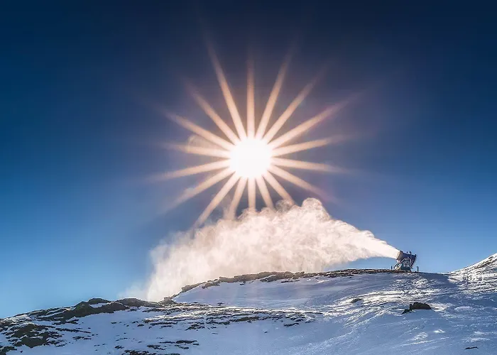 Boutique Exclusive Ξενοδοχείο Τρέντο